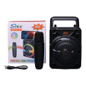 SK-1724 Колонка ZQS-W3107 (11.5*10.1*16.2см)