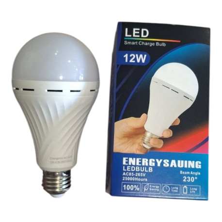 SK-1835 Аккумуляторная LED лампа 12W